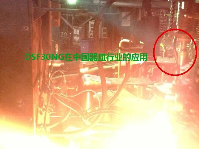 DSF30NG , DSF34NG�ڲ����ИI(y��)�đ�(y��ng)��