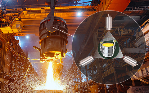 ����Һ���üt��y�؃xDS54NS, DS54NSV, 800-2500��C